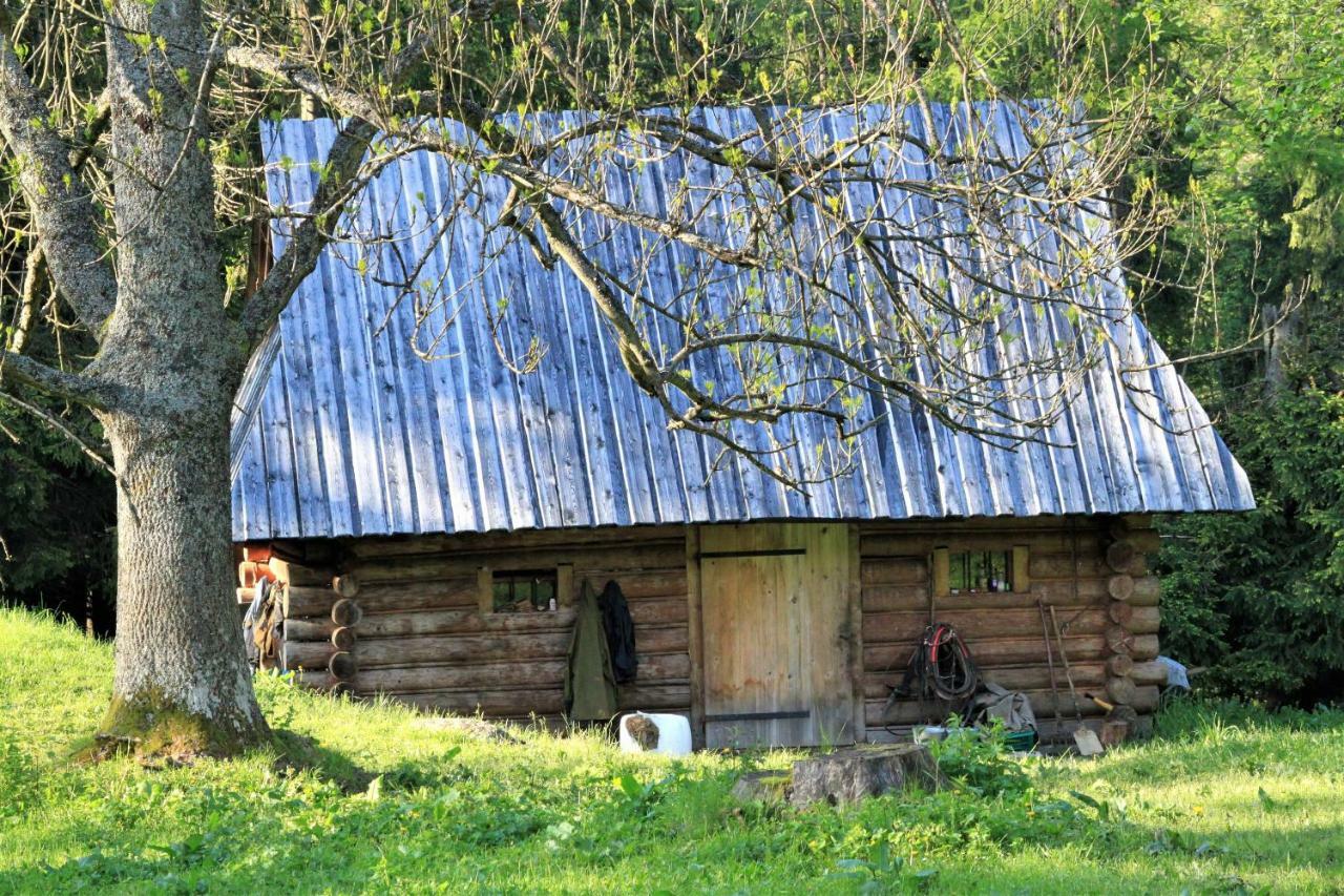 Willa U Stachoniow Zakopane Exterior photo